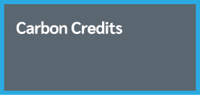 Carbon Credits